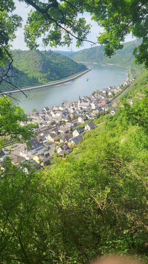 Ferienwohnung Zum Rheinblick Kestert Exteriör bild