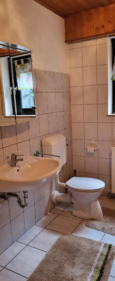 Ferienwohnung Zum Rheinblick Kestert Exteriör bild